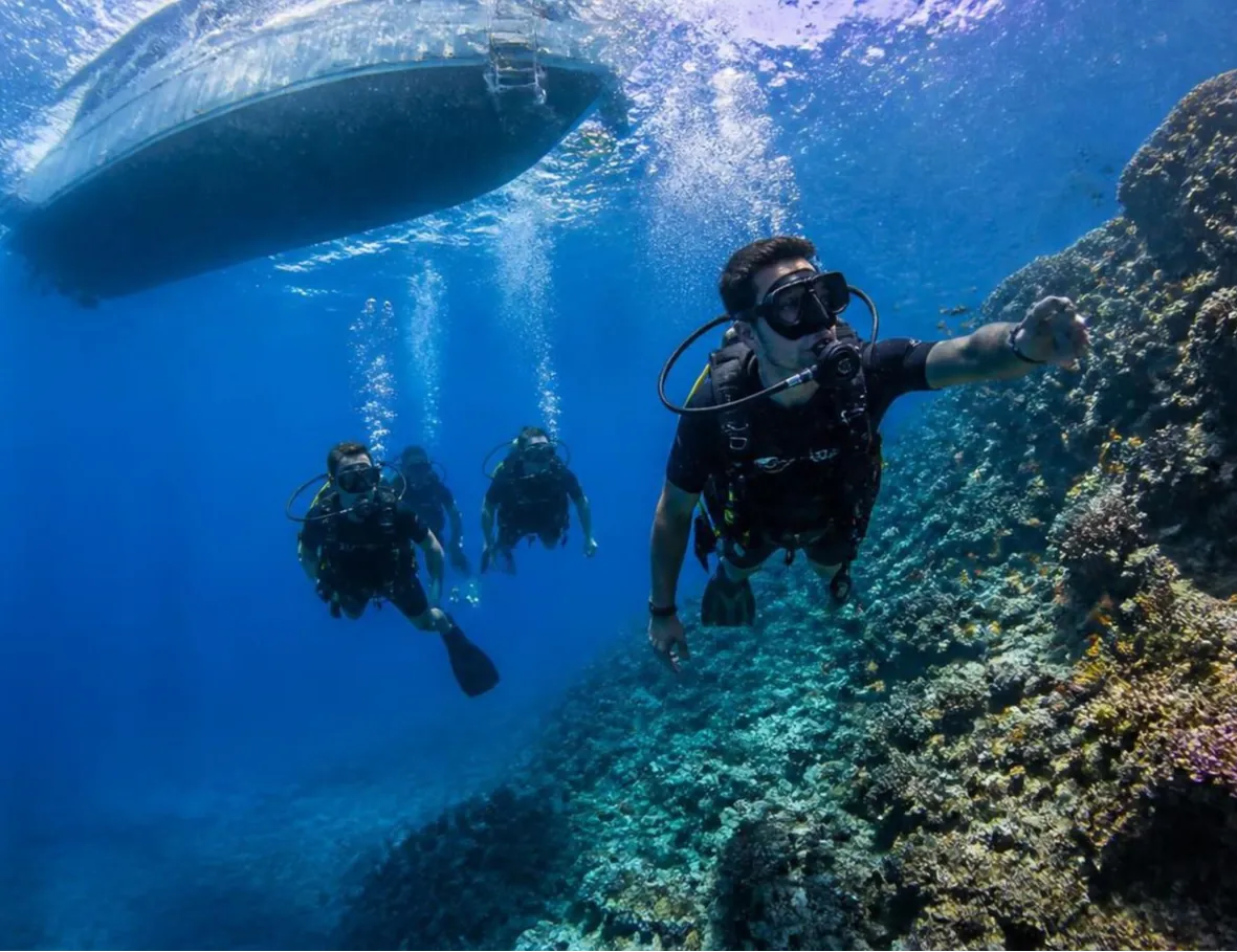 From Snorkeler to Dive Pro: Your Scuba Career Path in Saudi Arabia
